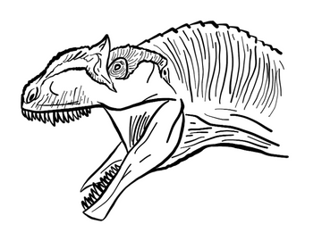 Allosaurus