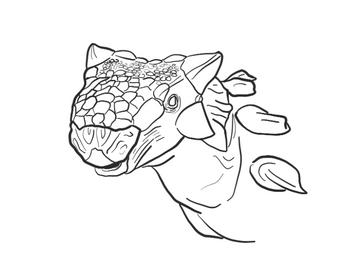 Ankylosaurus