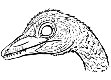 Archaeopteryx