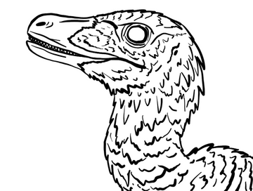 Archeroraptor