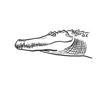 Borealosuchus