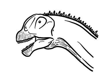 Camarasaurus