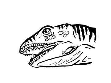Captorhinus