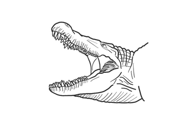 Deinosuchus