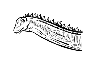 Diplodocus