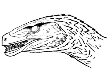 Dromaeosaurus