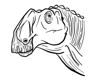 Gryposaurus