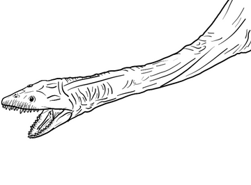 Keichousaurus