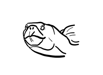 Large Turtle/Chisternon