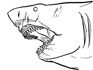 Megalodon