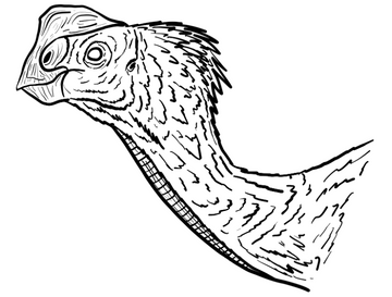 Oviraptor
