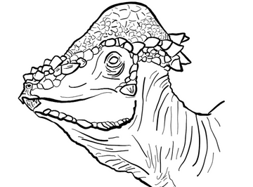 Pachycephalosaurus