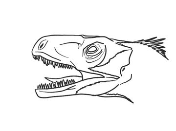 Saurornitholestes