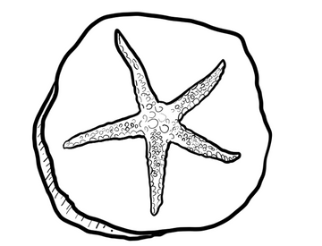 Starfish