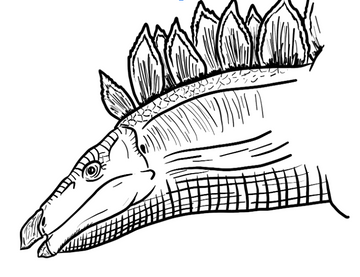 Stegosaurus