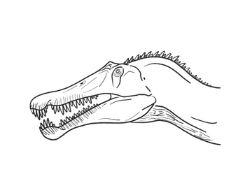 Suchomimus
