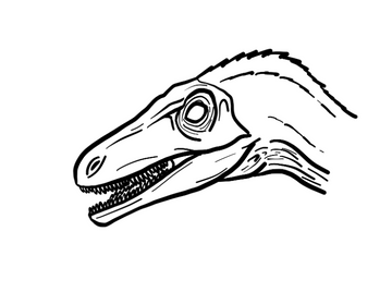 Troodon