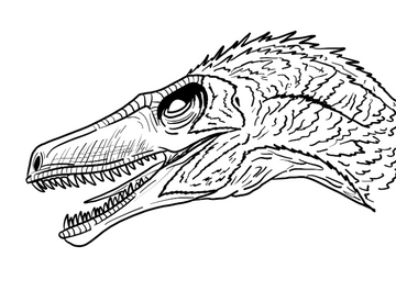 Velociraptor