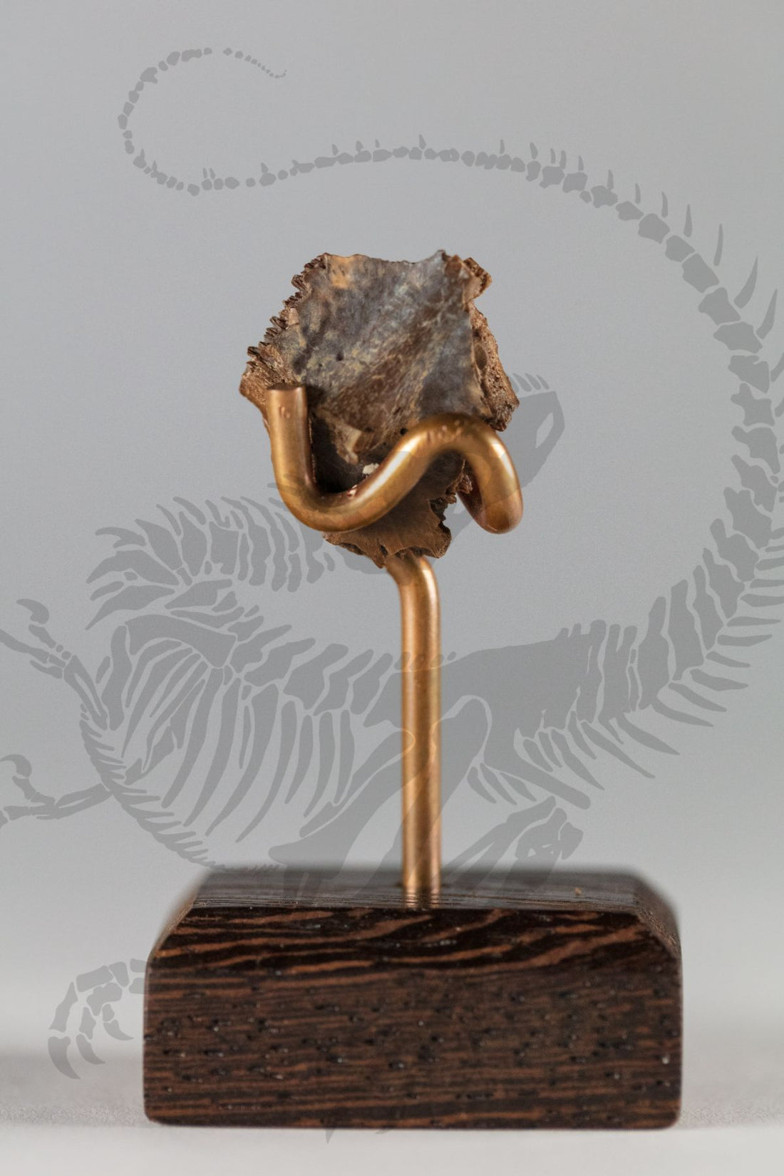 Borealosuchus Armor Piece