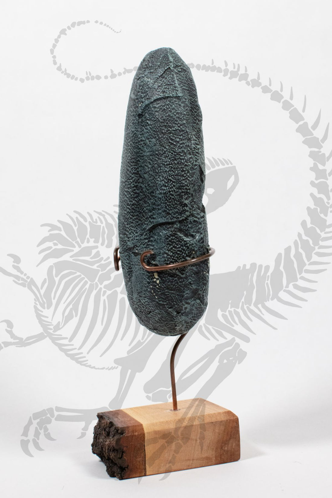 Oviraptor Egg