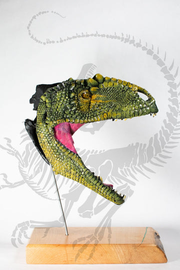Tanycolagreus Half Skull Half Life Restoration Bust