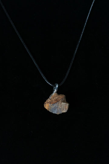 Diplodocus Bone Chunk Necklace