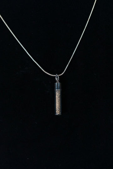 Diplodocus Bone Powder Capsule Necklace