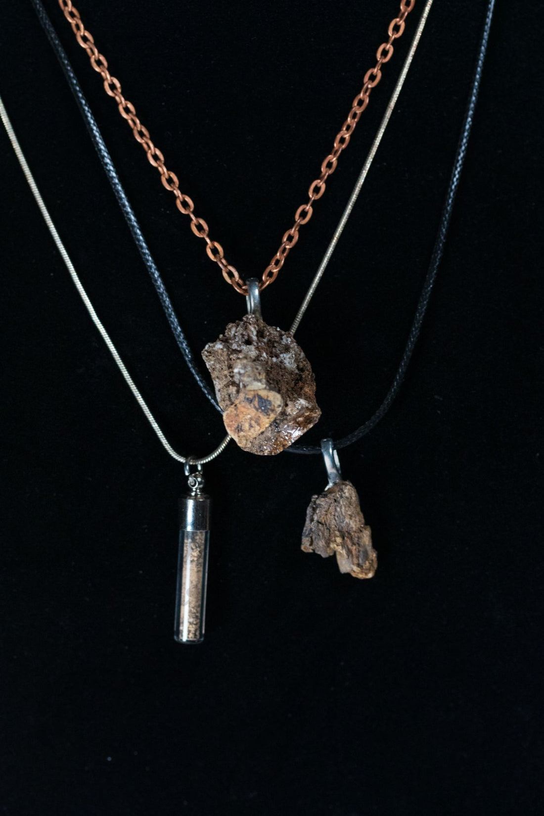 Diplodocus Bone Powder Capsule Necklace