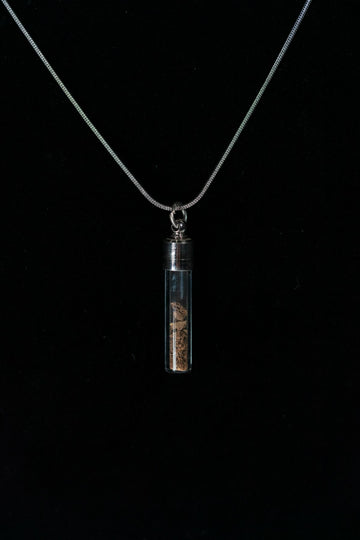 Brachylophosaurus Bone Powder Capsule Necklace