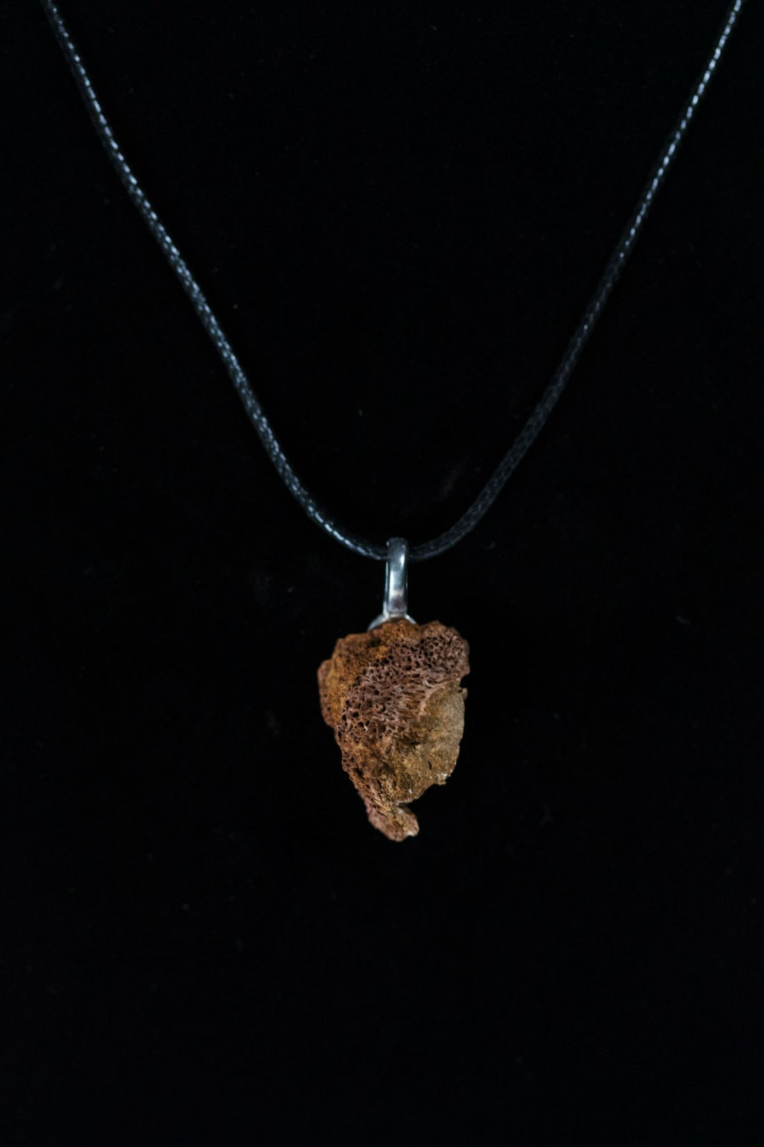 Brachylophosaurus Bone Chunk Necklace