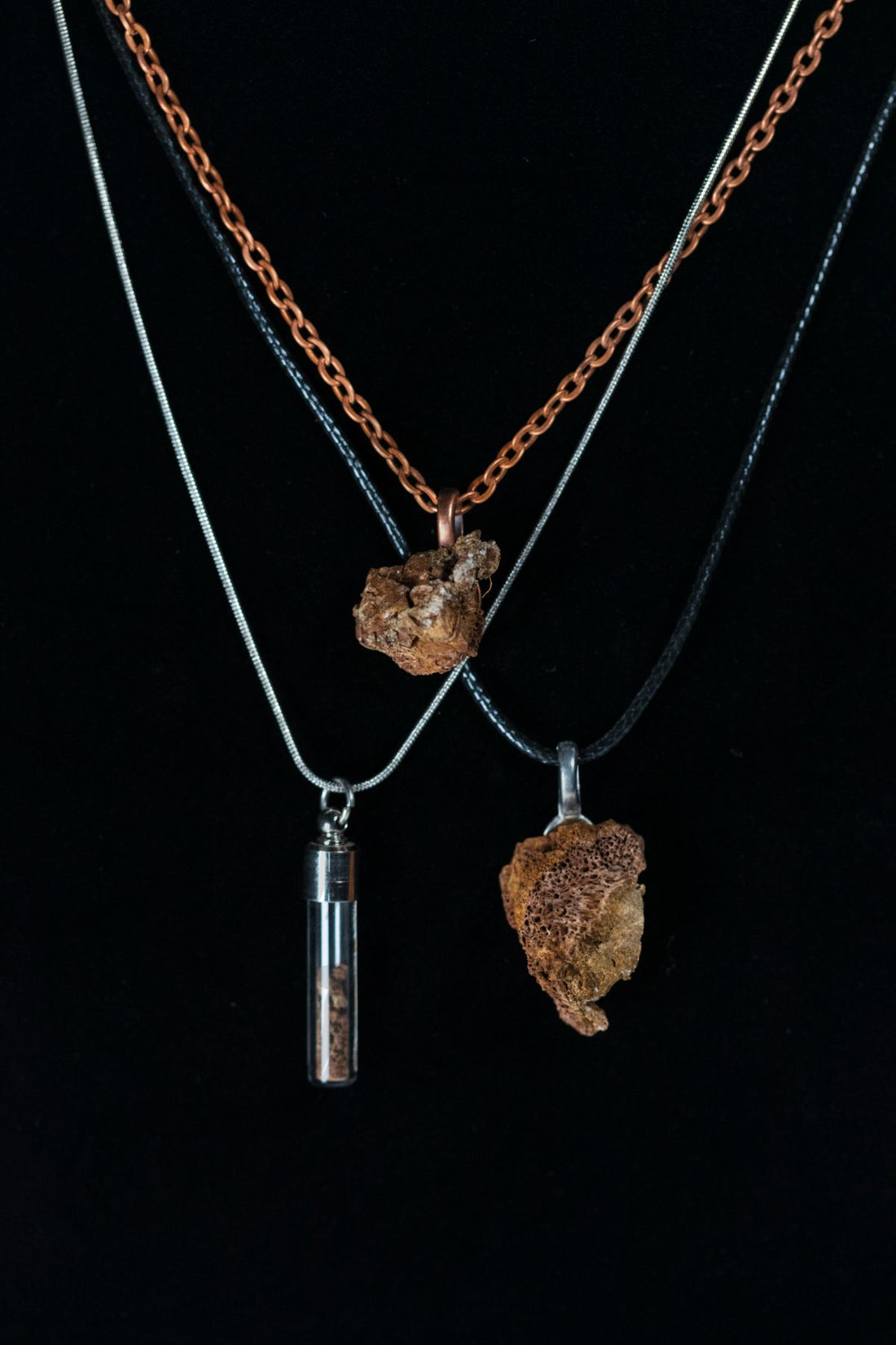 Brachylophosaurus Bone Powder Capsule Necklace
