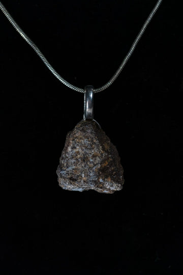 Stegosaurus Bone Chunk Necklace
