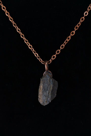 Supersaurus Bone Chunk Necklace