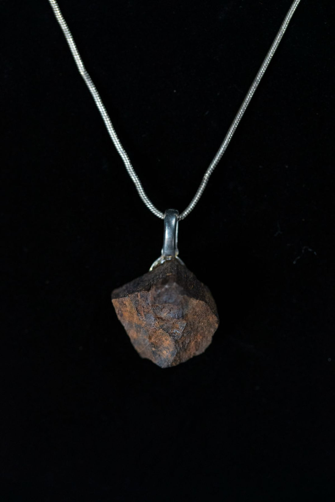 Supersaurus Bone Chunk Necklace