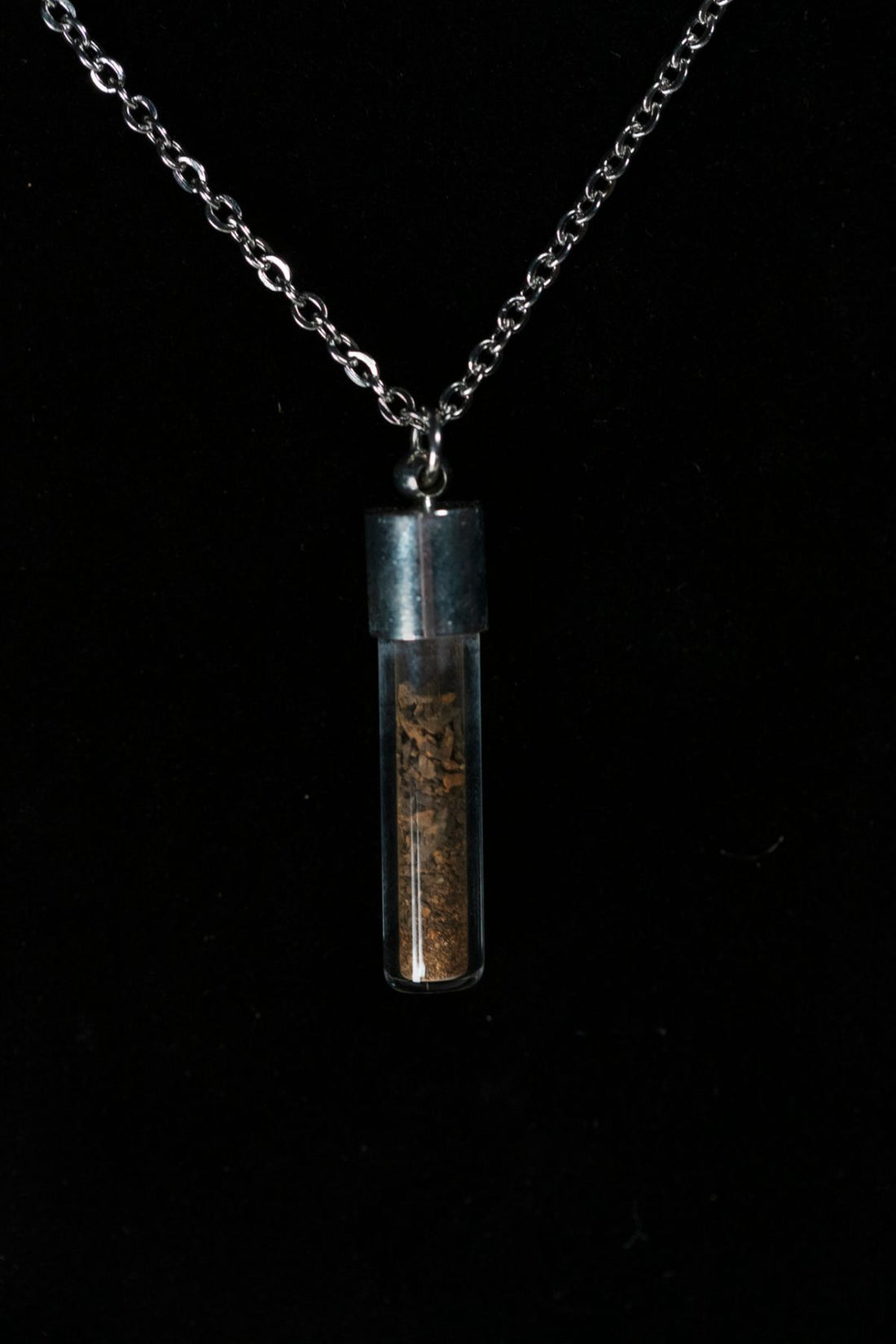 Supersaurus Bone Powder Capsule Necklace