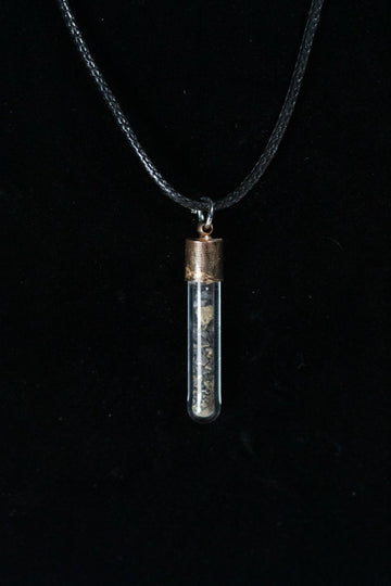 Allosaurus Bone Powder Capsule Necklace