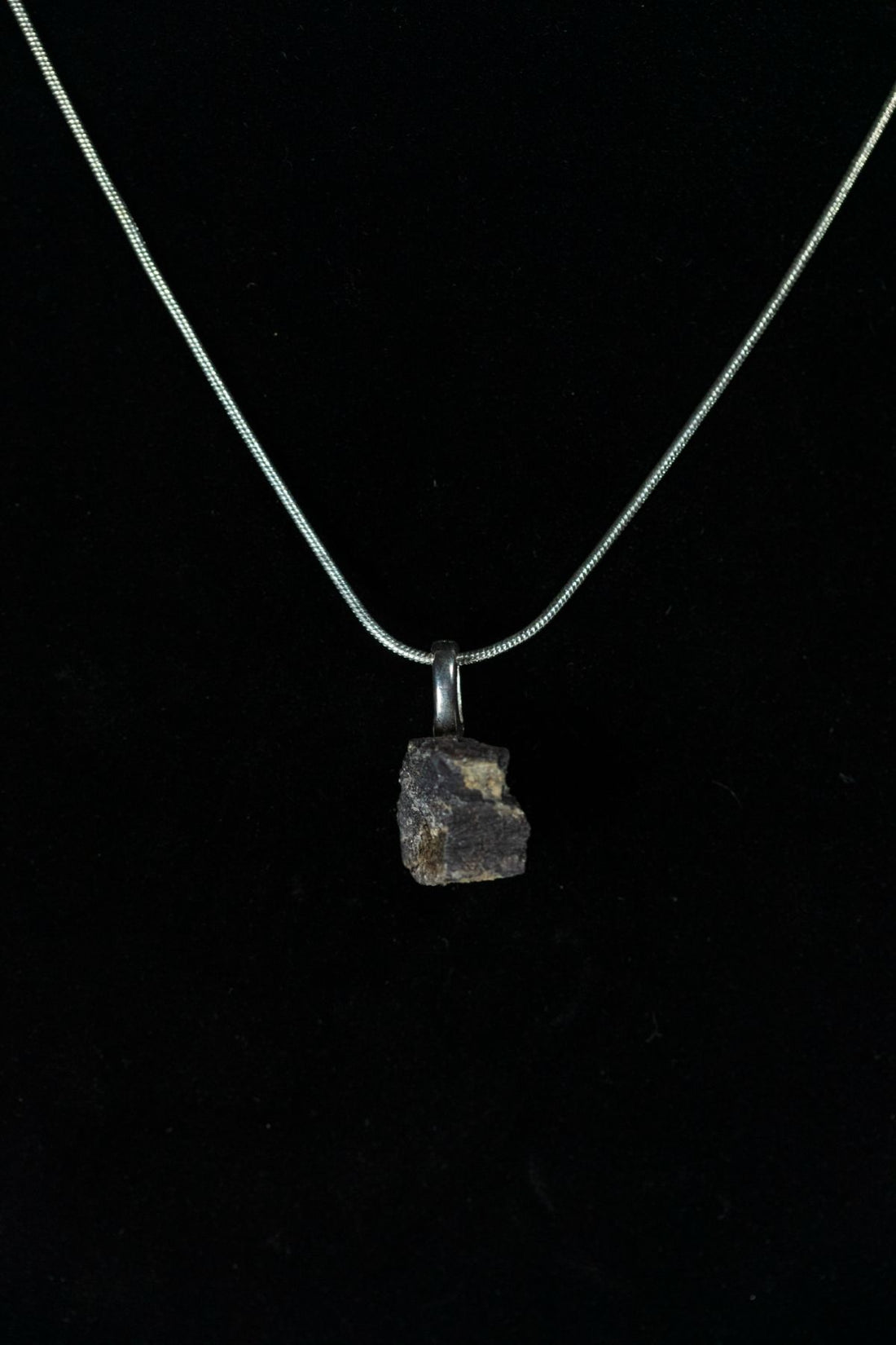 Allosaurus Bone Chunk Necklace
