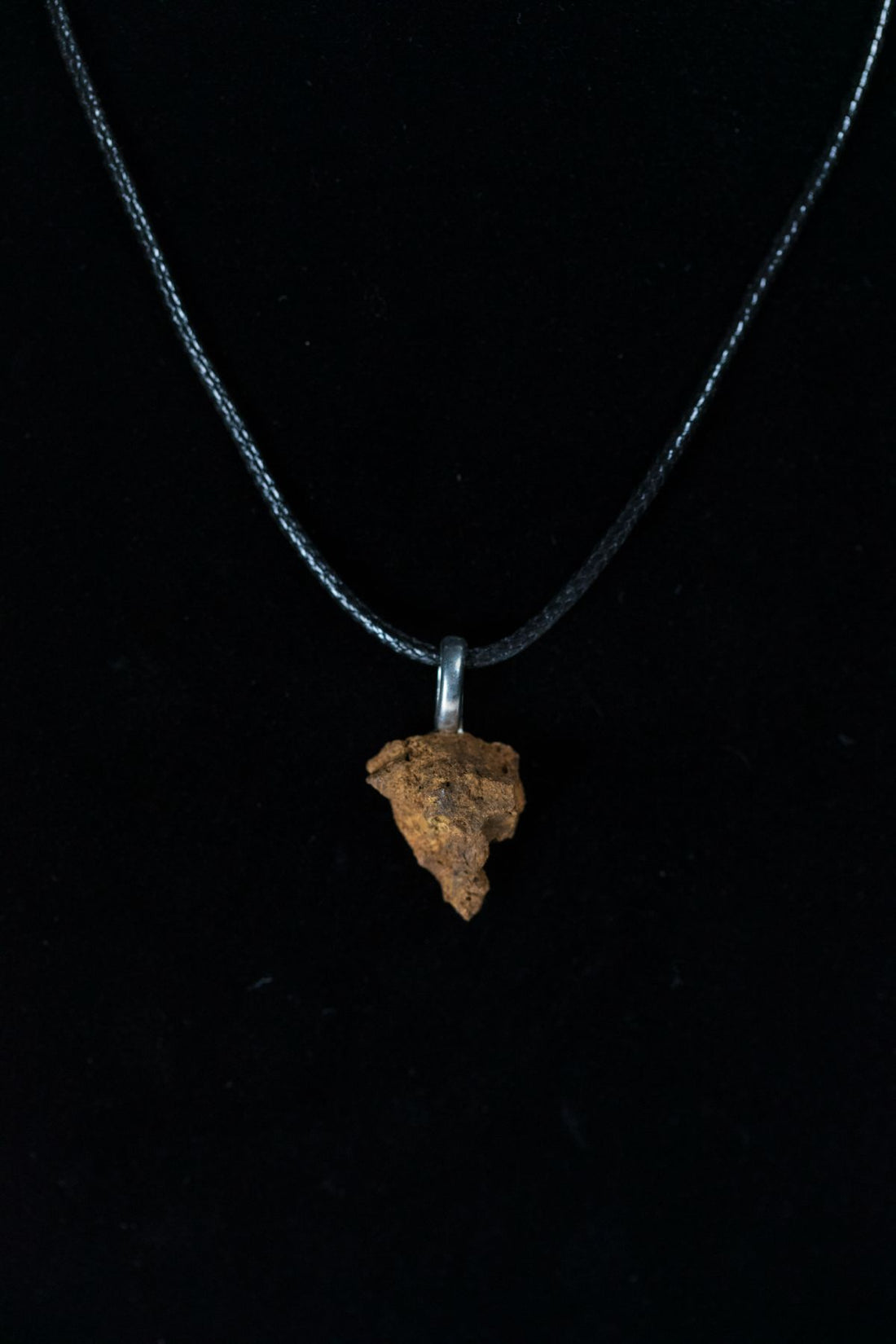 Tyrannosaurus Rex Bone Chunk Necklace
