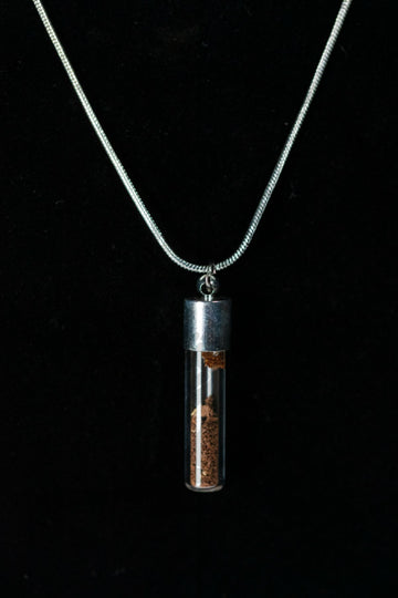 Tyrannosaurus Rex Bone Powder Capsule Necklace