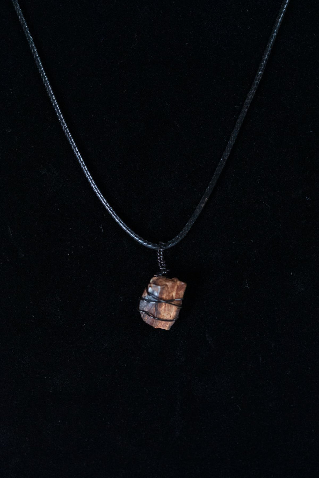 Tyrannosaurus Rex Tooth Fragment Necklace