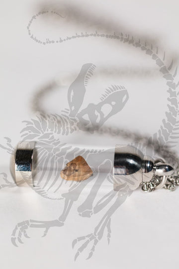 Triceratops Tooth Fragment Necklace