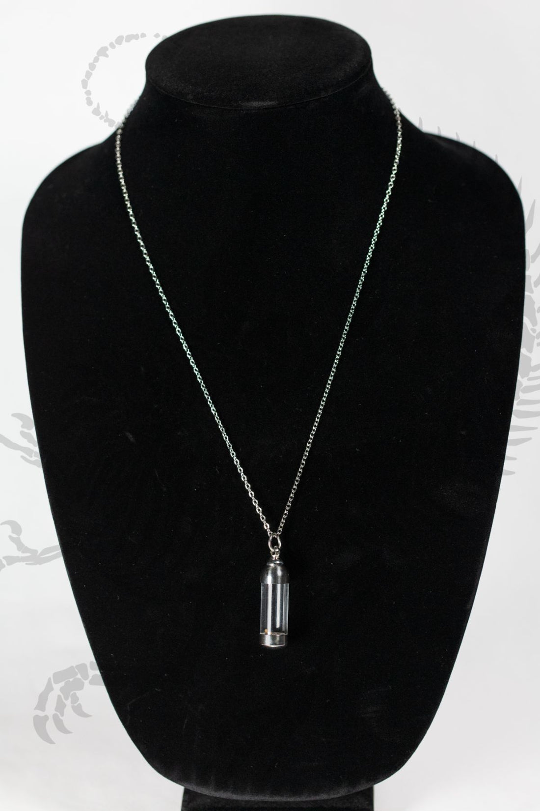 Triceratops Tooth Fragment Necklace
