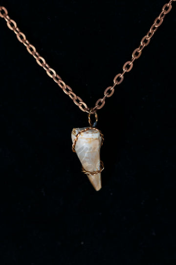 Zarafasaura Tooth Necklace