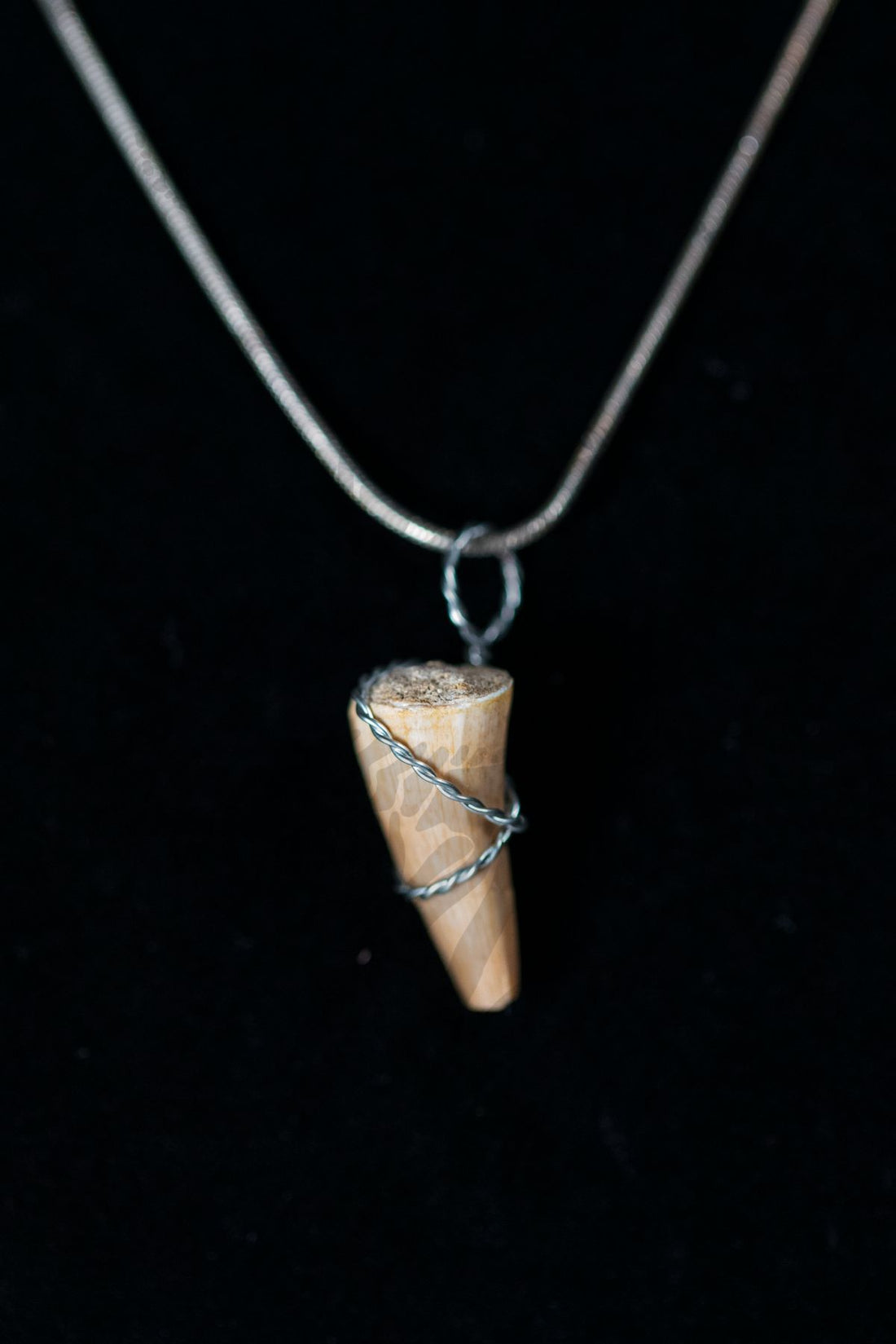 Zarafasaura Tooth Necklace