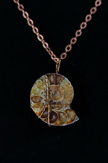 Split Ammonite Necklace