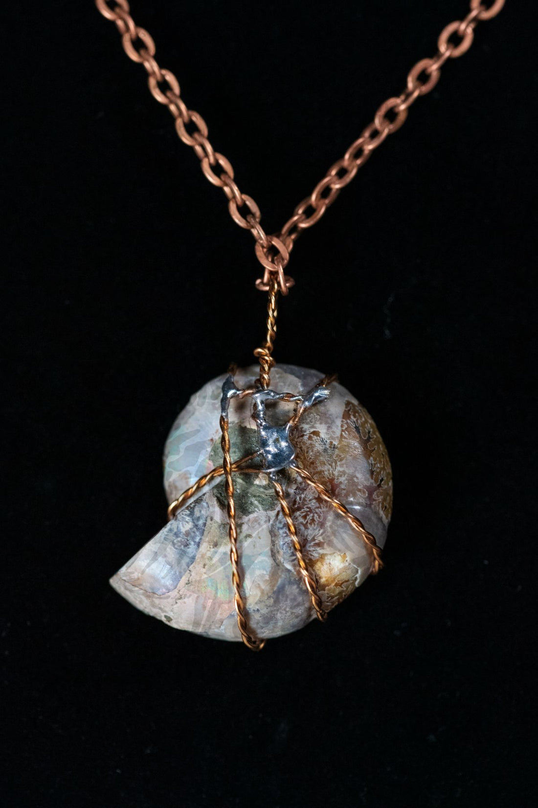 Split Ammonite Necklace