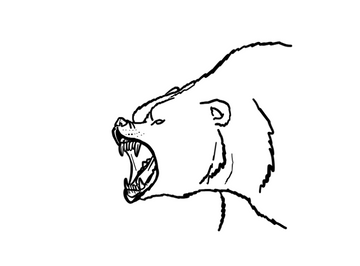 Cave Bear