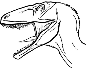 Dakotaraptor