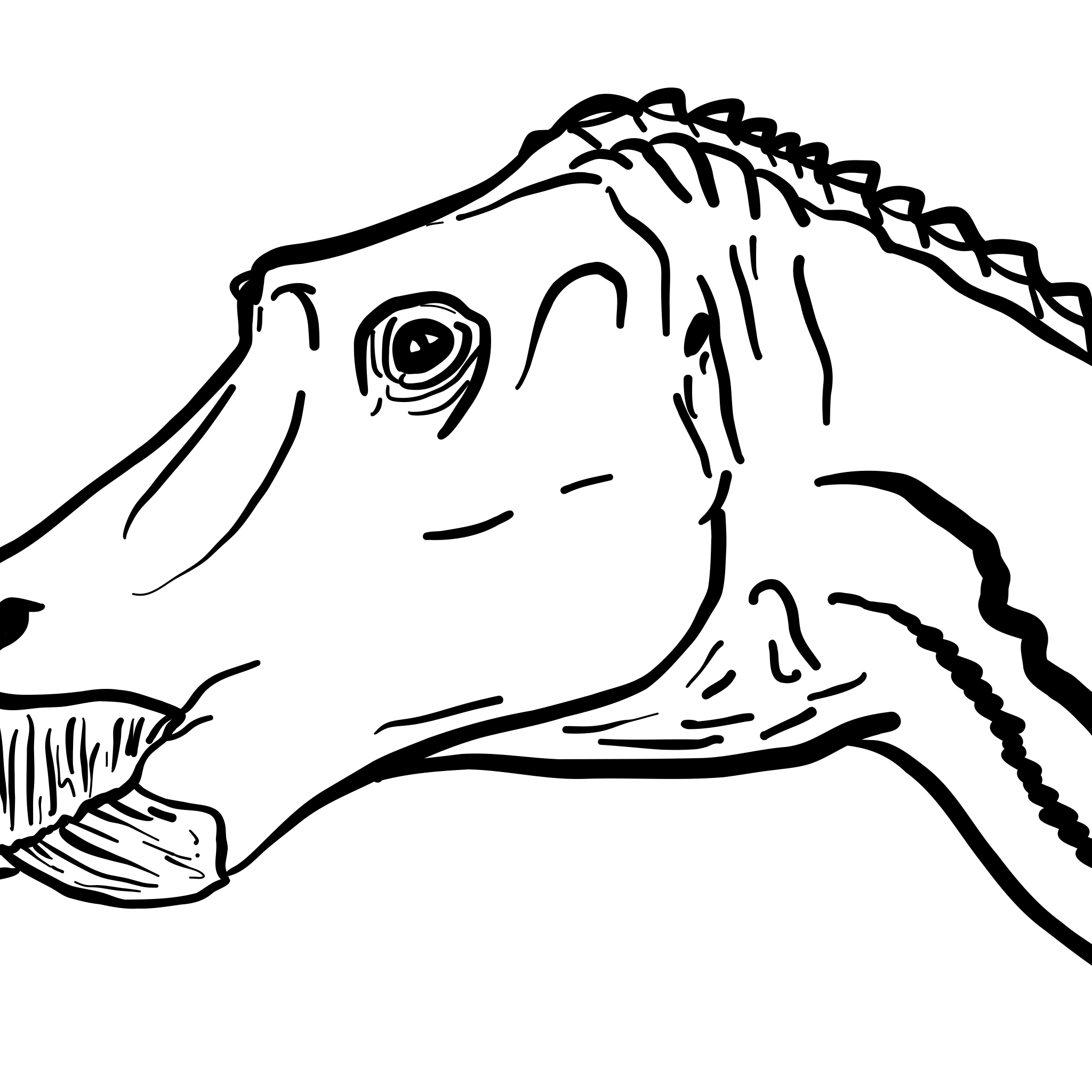 Maiasaura