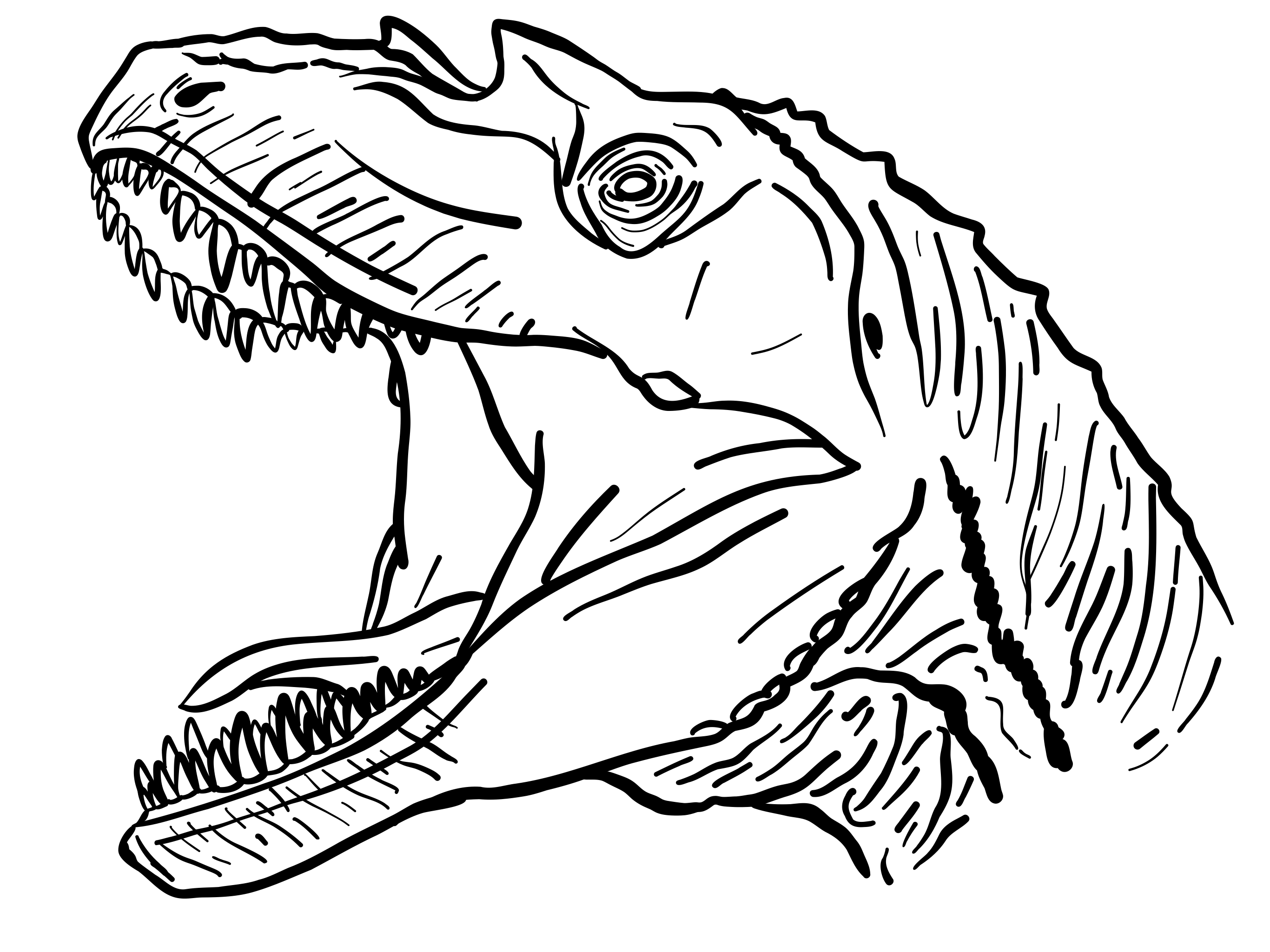 Gorgosaurus Gorgosaurus